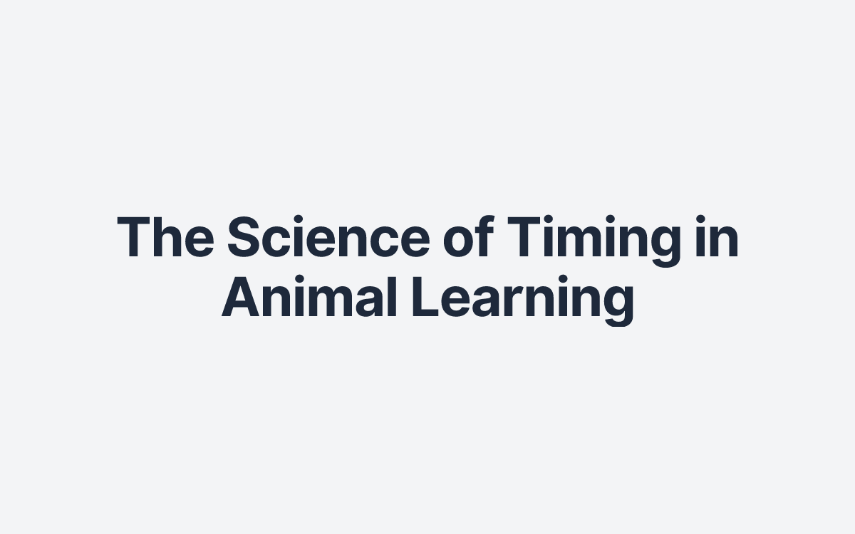The Science of Timing in Animal Learning